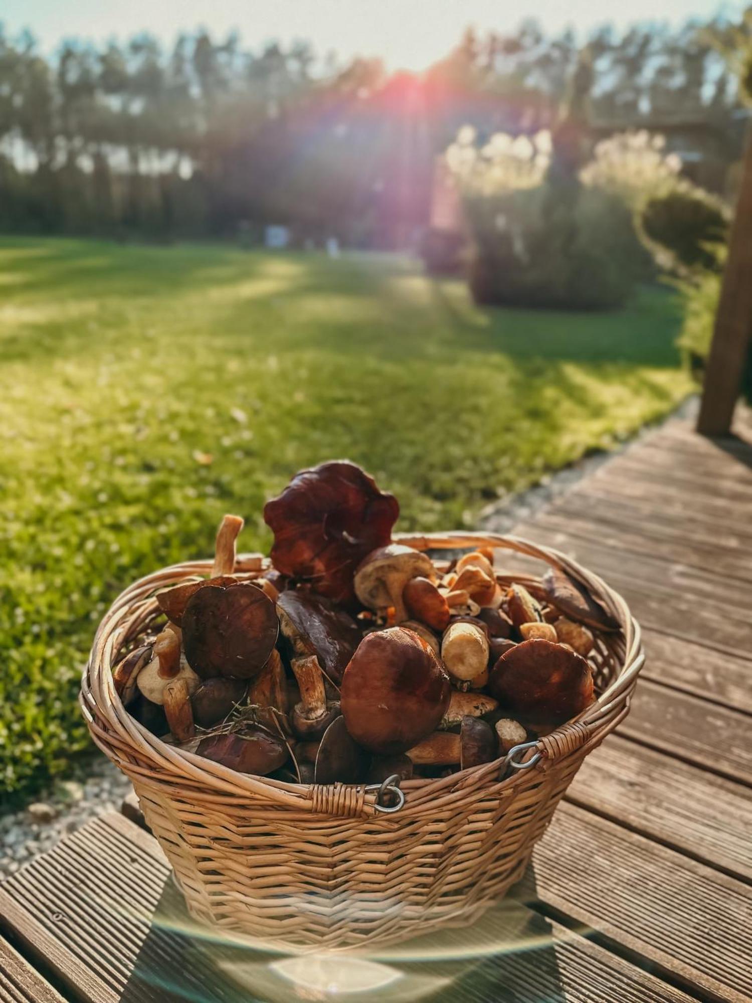 Agroturystyka Wena - luksus w naturze Zachodzko Zewnętrze zdjęcie